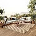 Nourison Positano Indoor/Outdoor Beige Ivory 8' x 10' Area Rug, Easy Cleaning, Non Shedding, Bed Room, Living Room, Dining Room, Backyard, Deck, Patio (8x10)