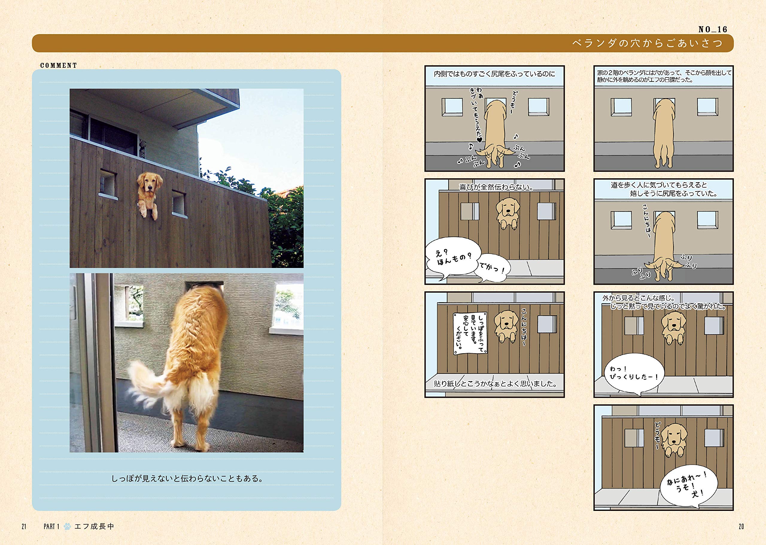 エフ漫画 ゴールデンレトリバーのエフとコメとの楽しい暮らし Efrinman 本 通販 Amazon