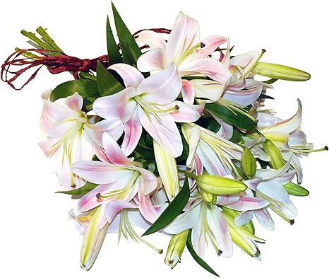 Amazon ピンクリリーの花束 生花 フラワーアレンジメント ブーケ プレゼント お祝い 誕生日 結婚式 お供え花 S フラワーアレンジメント オンライン通販
