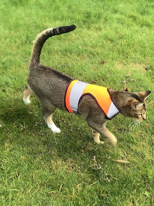 Medium Sized Adjustable Hi Viz High Visibility Reflective Adult Cat