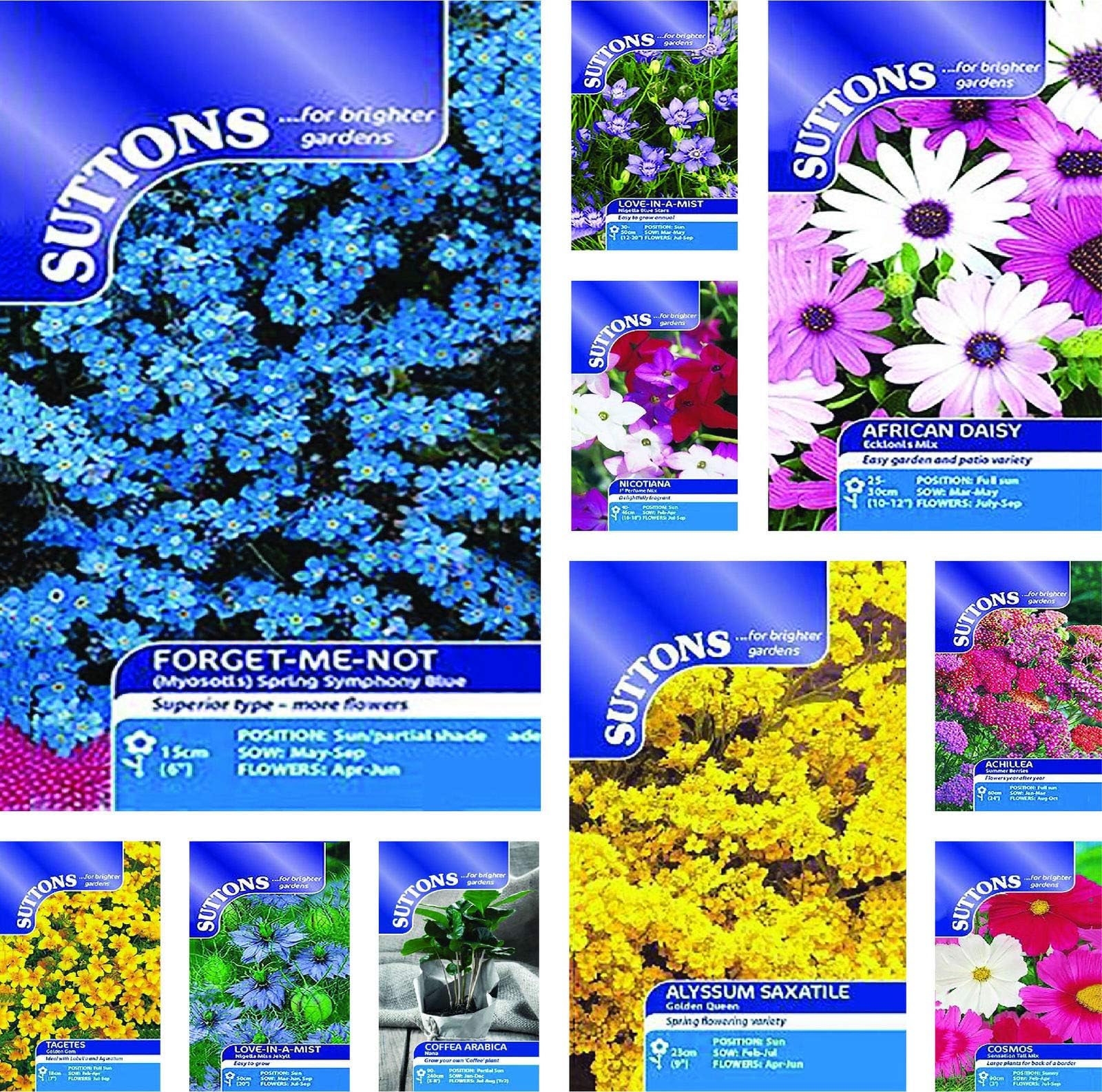 ScoutSeed Calendula Porcupine: Suttons Seeds Flower Seed Packets. Over 100 to Choose from