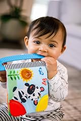 Baby Einstein Curious Explorers Teether Book Take-Along Toy Ages Newborn+ view 3