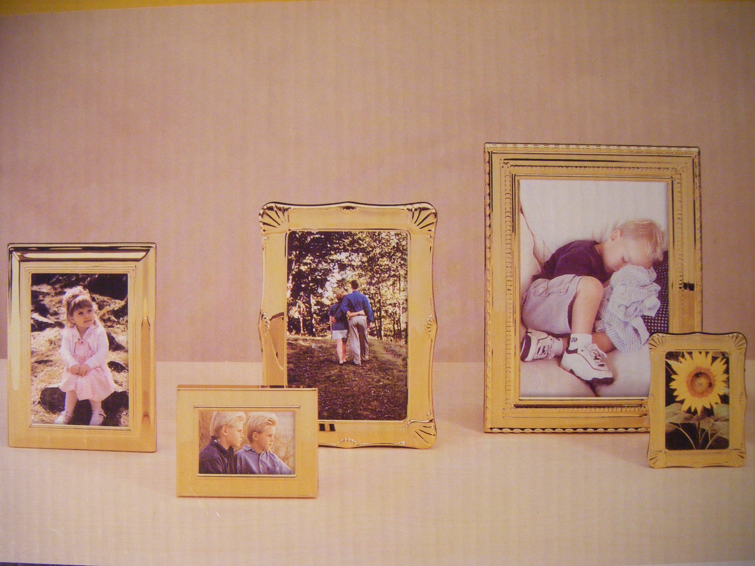 5 Piece Brass Metal Phot Frame Set by Carr Frames