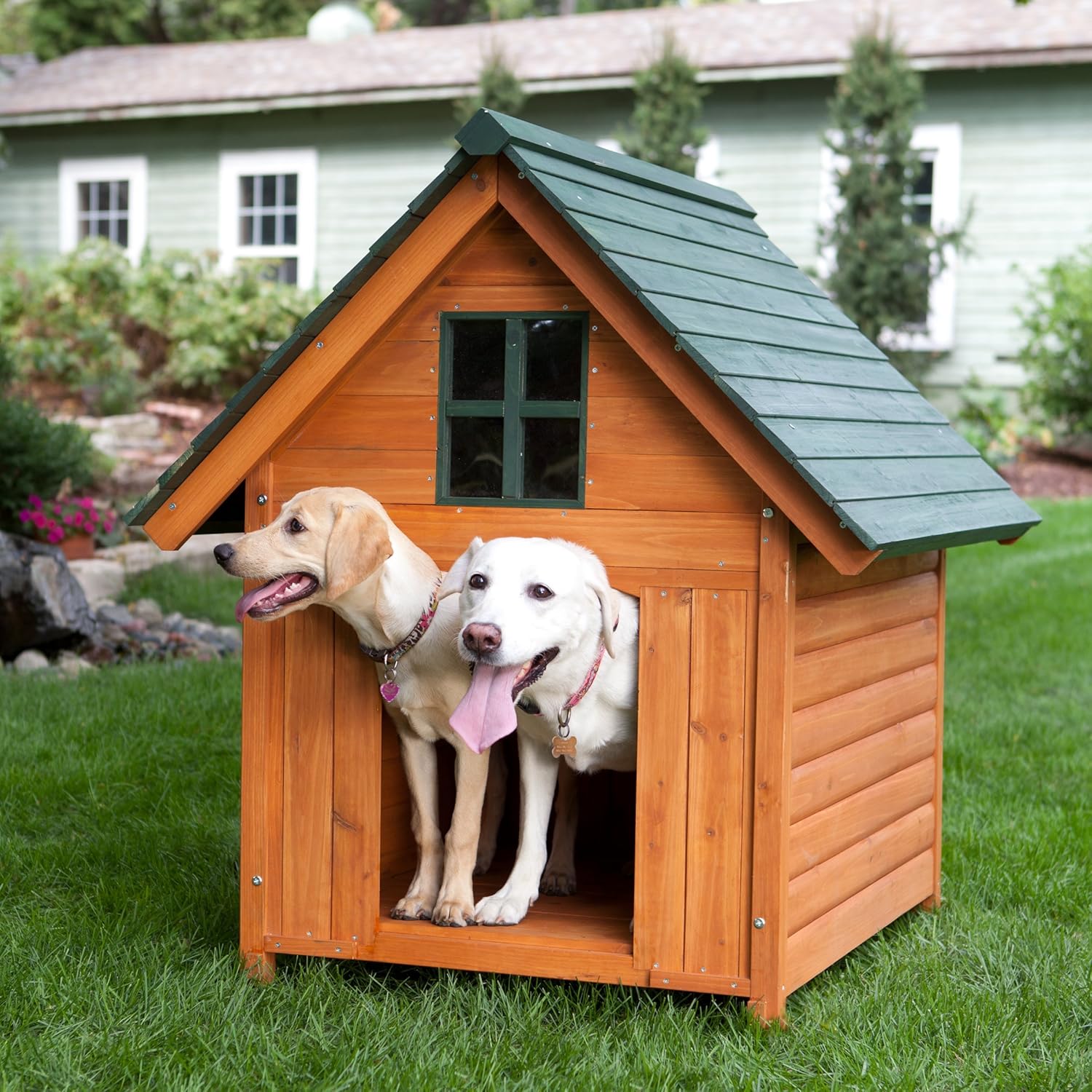 jumbo dog house for sale