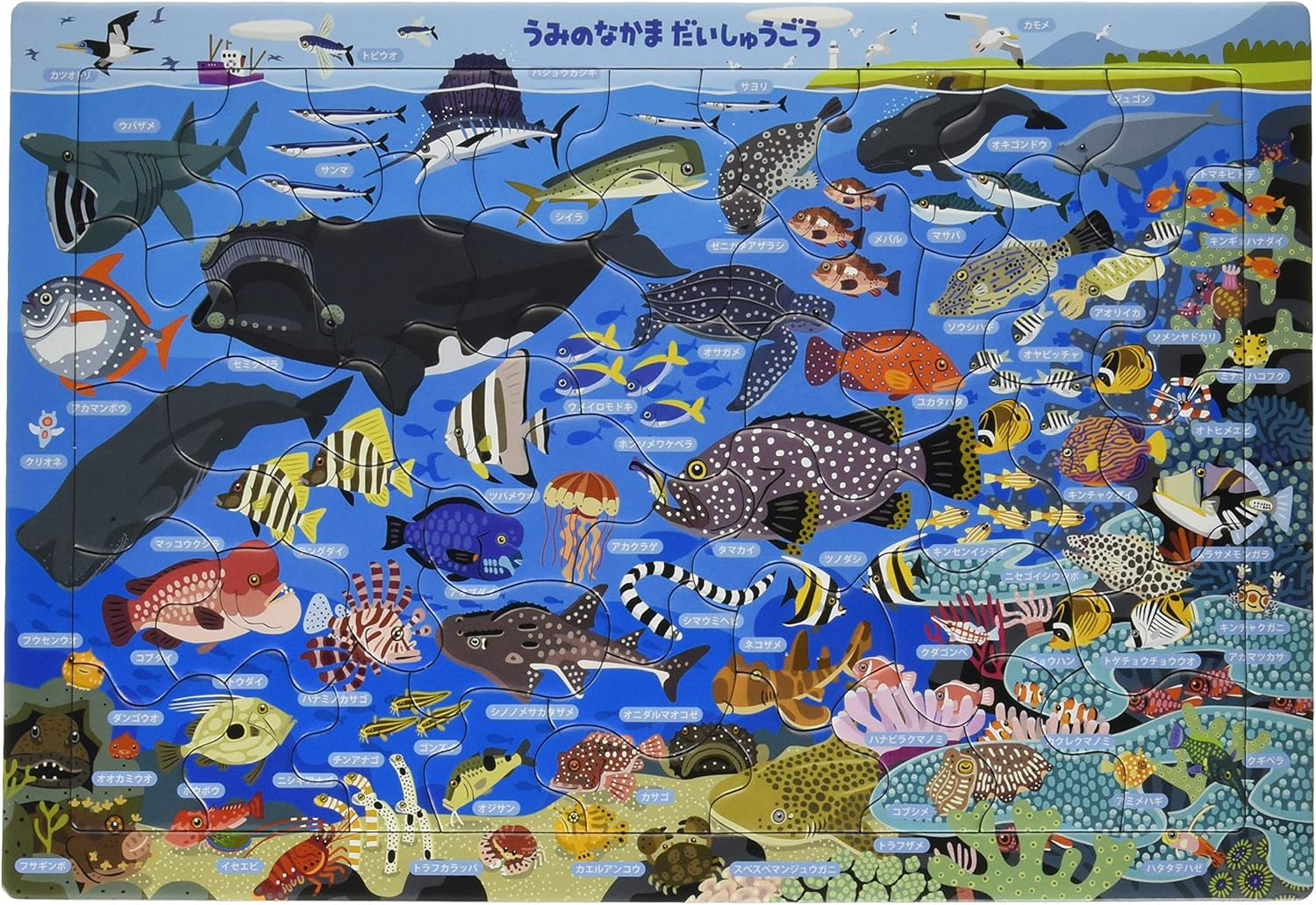 Amazon 46ピース 子供向けジグソーパズル うみのなかまだいしゅうごう ピクチュアパズル ジグソーパズル おもちゃ