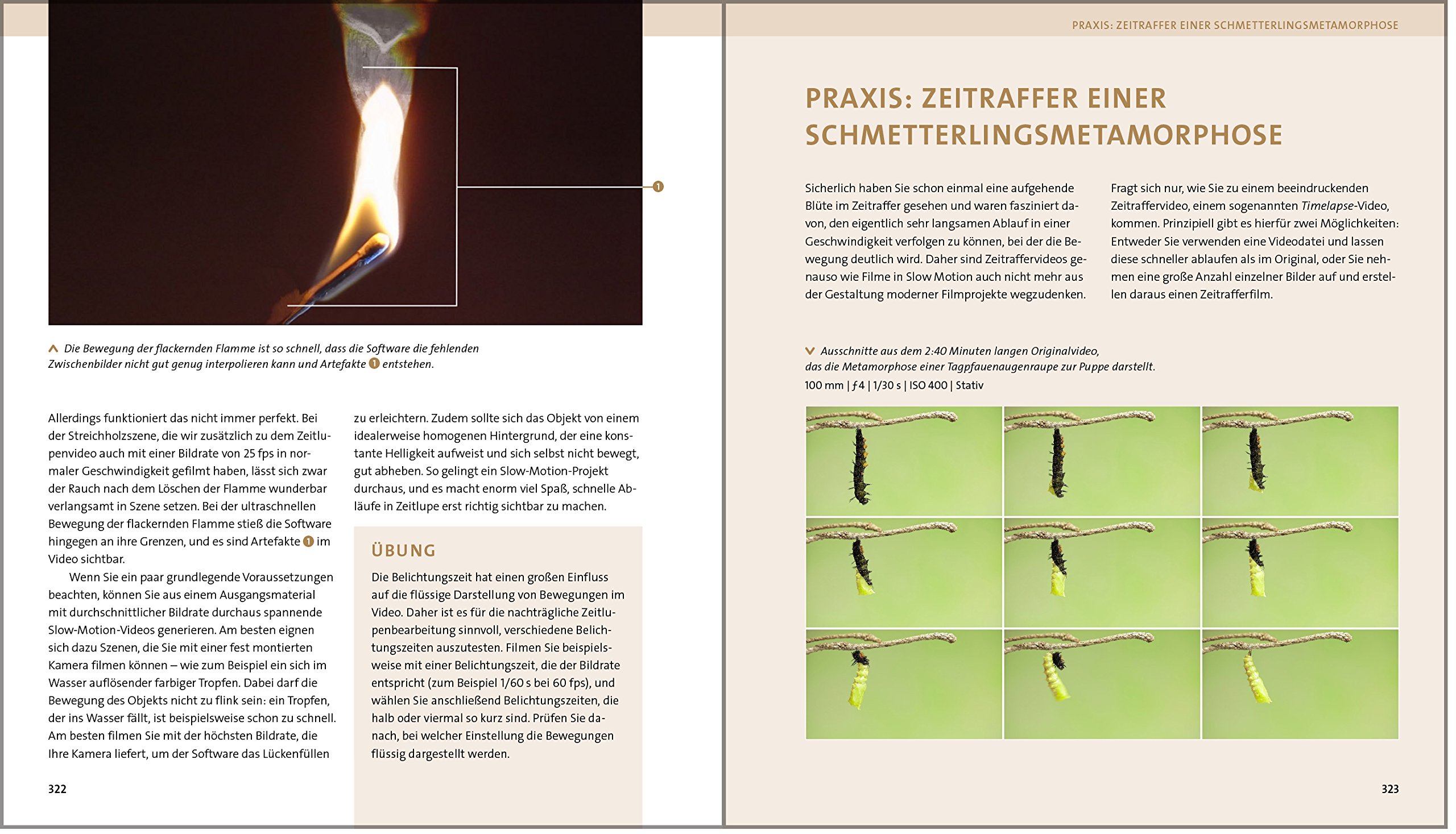 Makrofotografie Die Grosse Fotoschule Sanger Kyra Sanger Christian Amazon Com Books