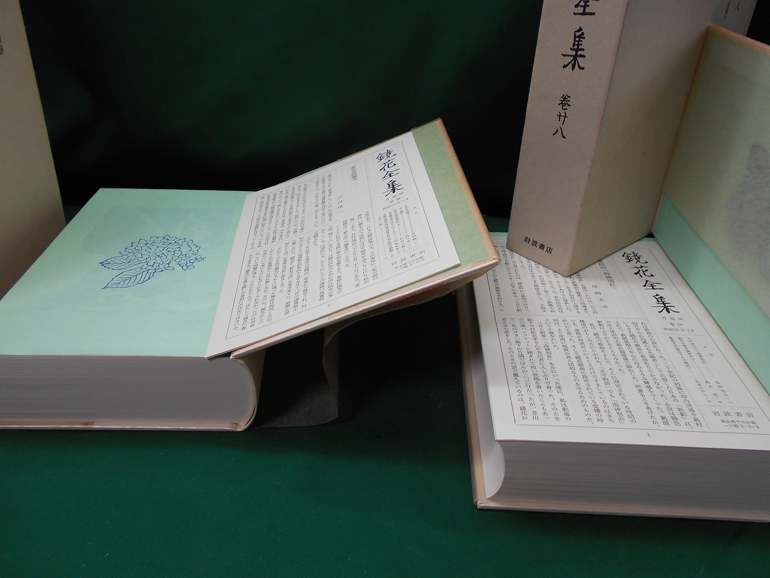 超美品 岩波書店 泉鏡花全集 文学 小説 Sergiosantanapr Com Br 超美品 岩波書店 泉鏡花全集 文学 小説 Sergiosantanapr Com Br