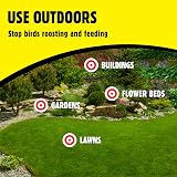The Big Cheese Wind Action Owl Decoy Deterrent with Rotating Head view 7