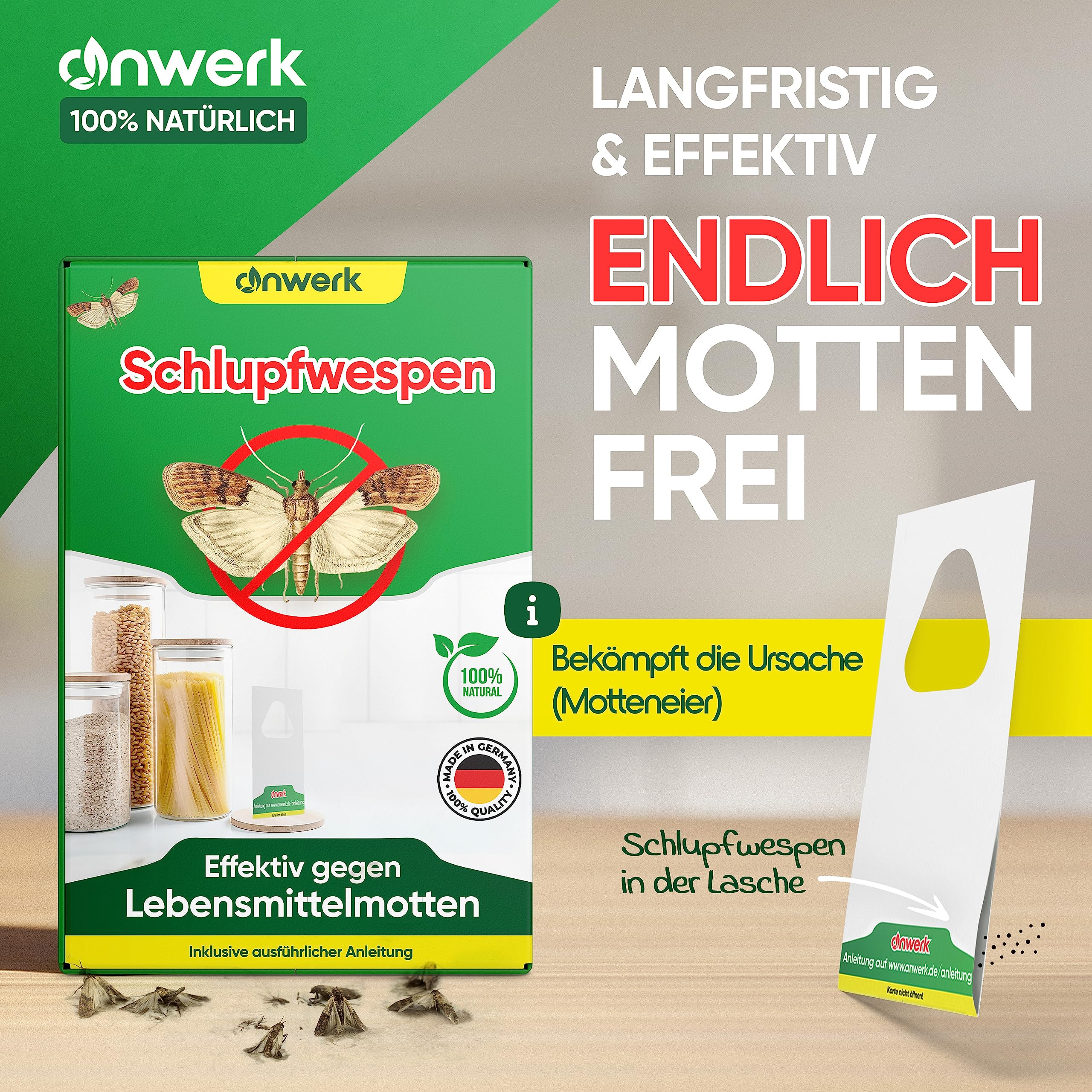 anwerk® Schlupfwespen gegen Lebensmittelmotten - 8 Karten (2 Karten à 4 Lieferungen) - Effektiv Lebensmittel Motten bekämpfen - Alternative zur Mottenfalle, Mottenspray, Pheromonfalle