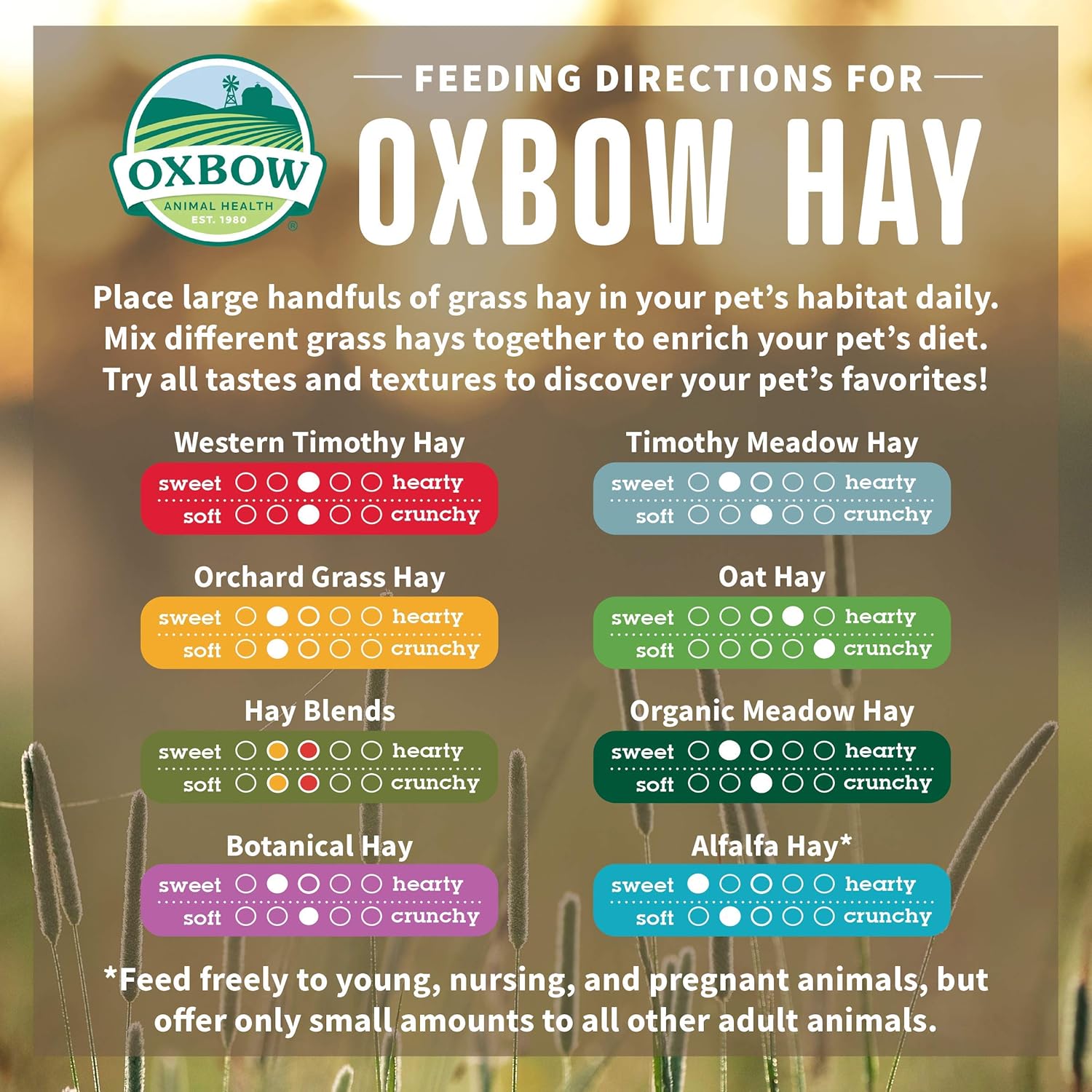 Oxbow Animal Health Western Timothy Hay, 40 Oz: Pet Supplies