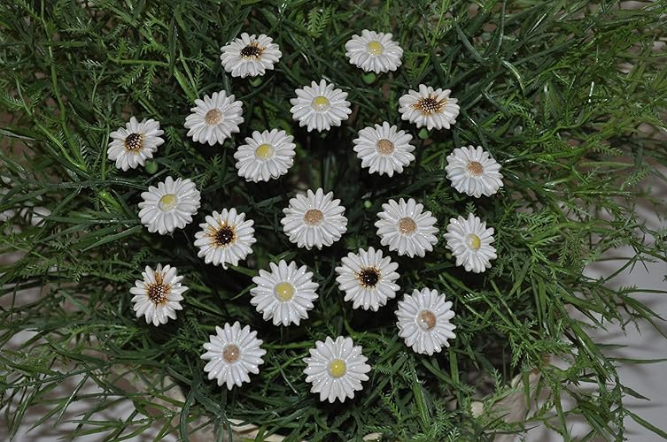 20 Keramikblumen: Gänseblümchen