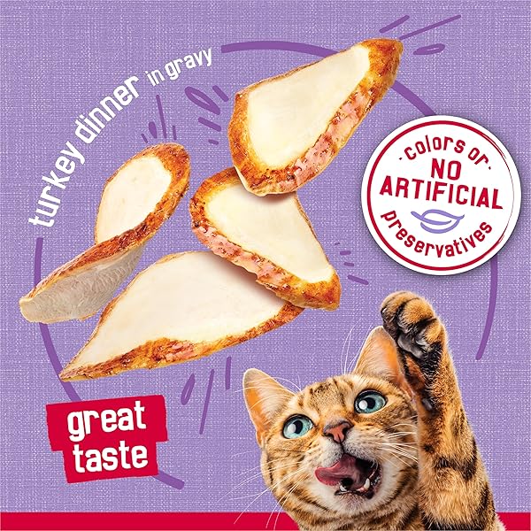 PURINA FRISKIES PRIME FILETS TURKEY DINNER IN WET CAT FOOD GRAVY – (PACK OF 24) 5.5 OZ. CANS
