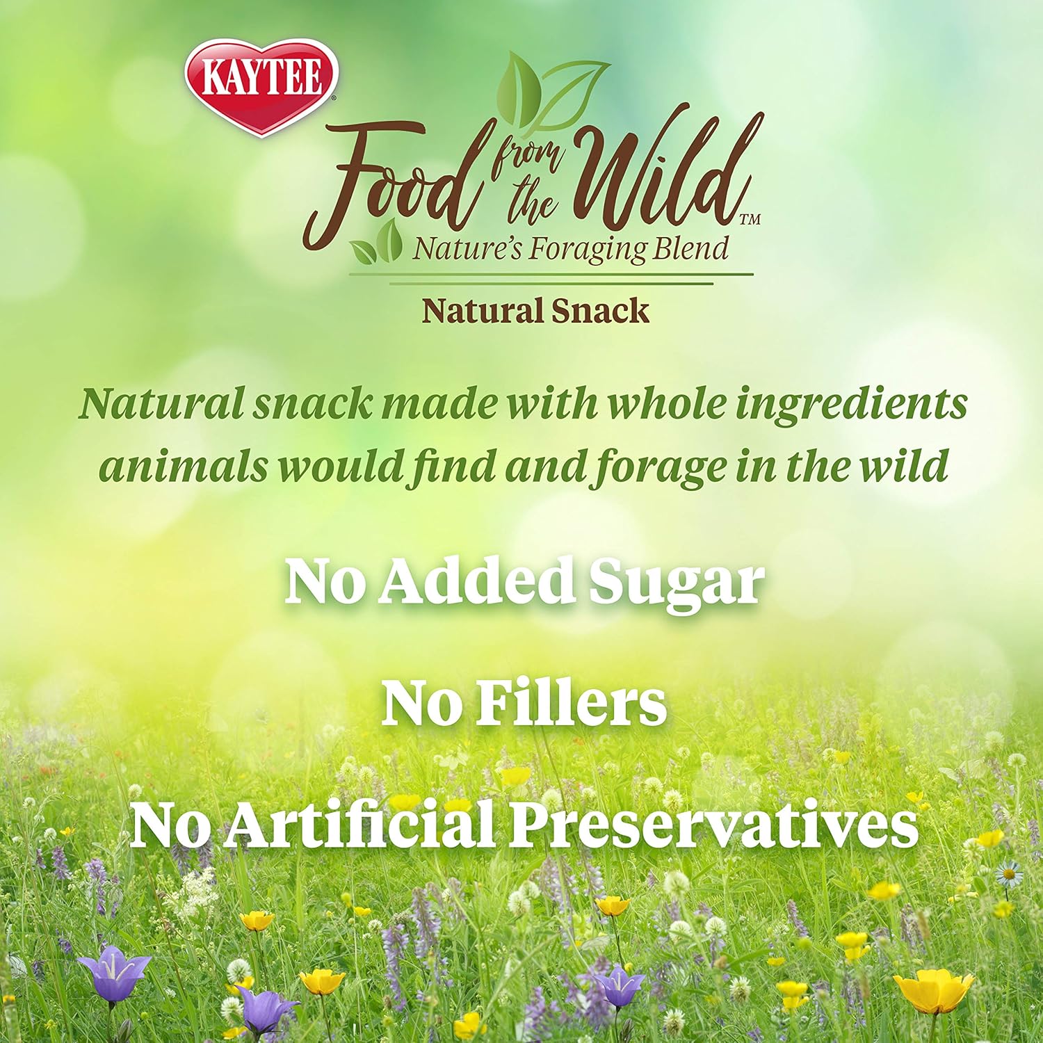 Kaytee Food from The Wild Natural Snack, 1 Ounce : Pet Supplies