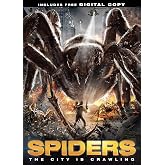 Spiders
