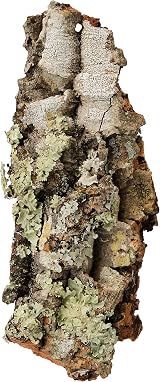 Komodo Mini Habitat Cork Bark Hide Shelter Reptile Mould Resistant 18x12cm