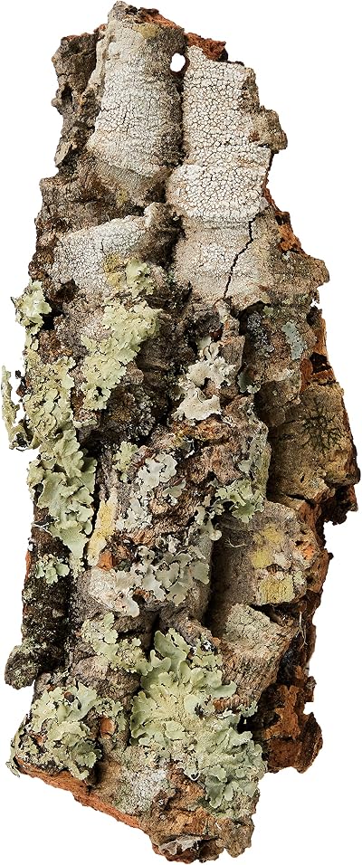 Komodo Mini Habitat Cork Bark Hide Shelter Reptile Mould Resistant 18x12cm