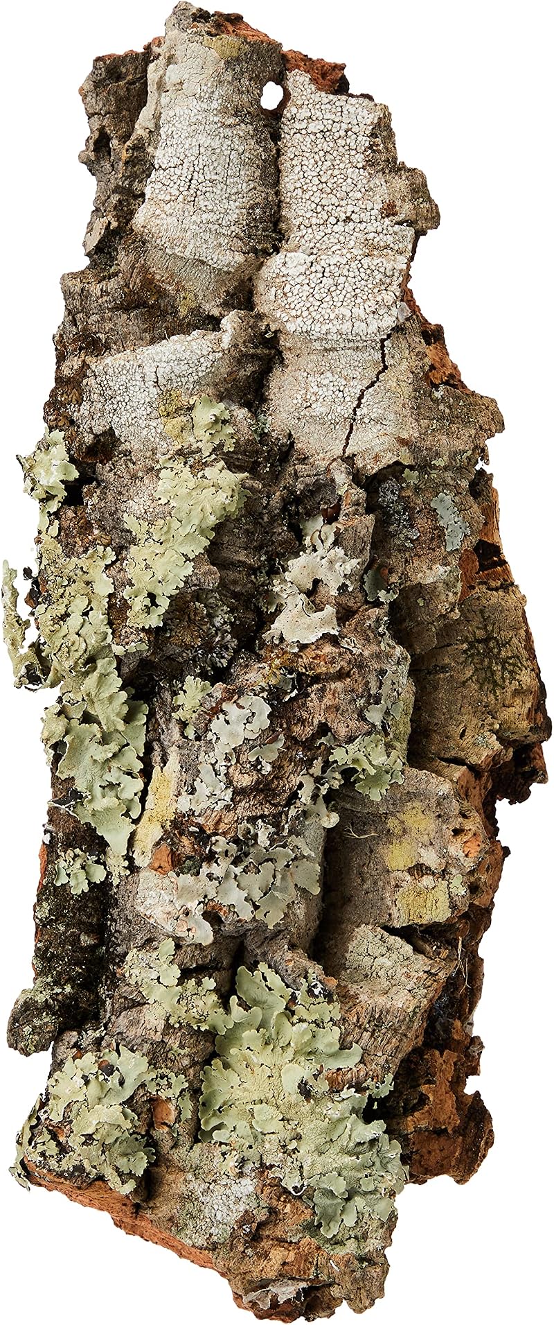 Komodo Mini Habitat Cork Bark Hide Shelter Reptile Mould Resistant 18x12cm