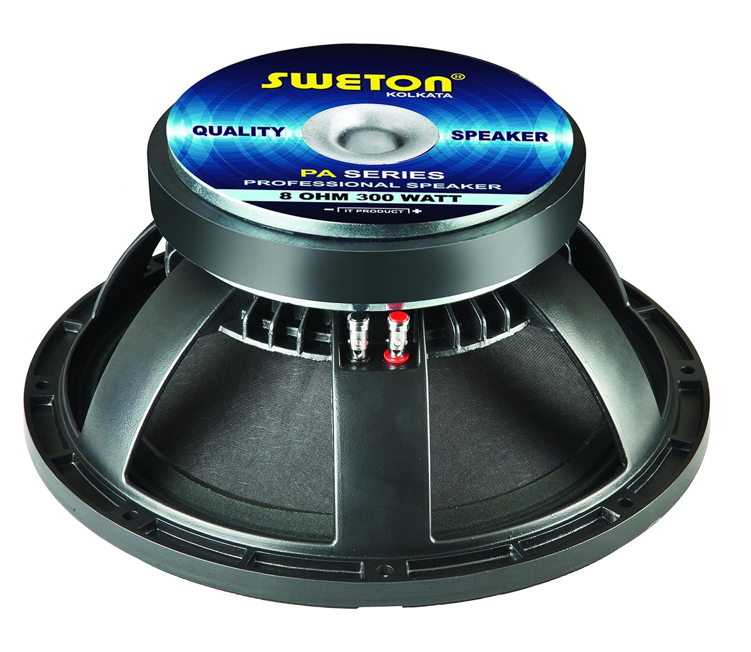 Sweton Speaker 12 PA 300 Price: Buy 