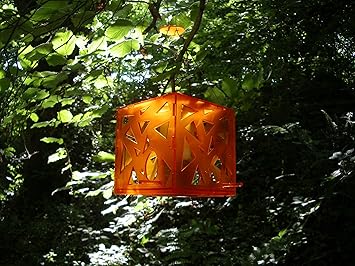 Flock Follies Gift Pack Bird Feeder Mandarin Orange Amazon Co