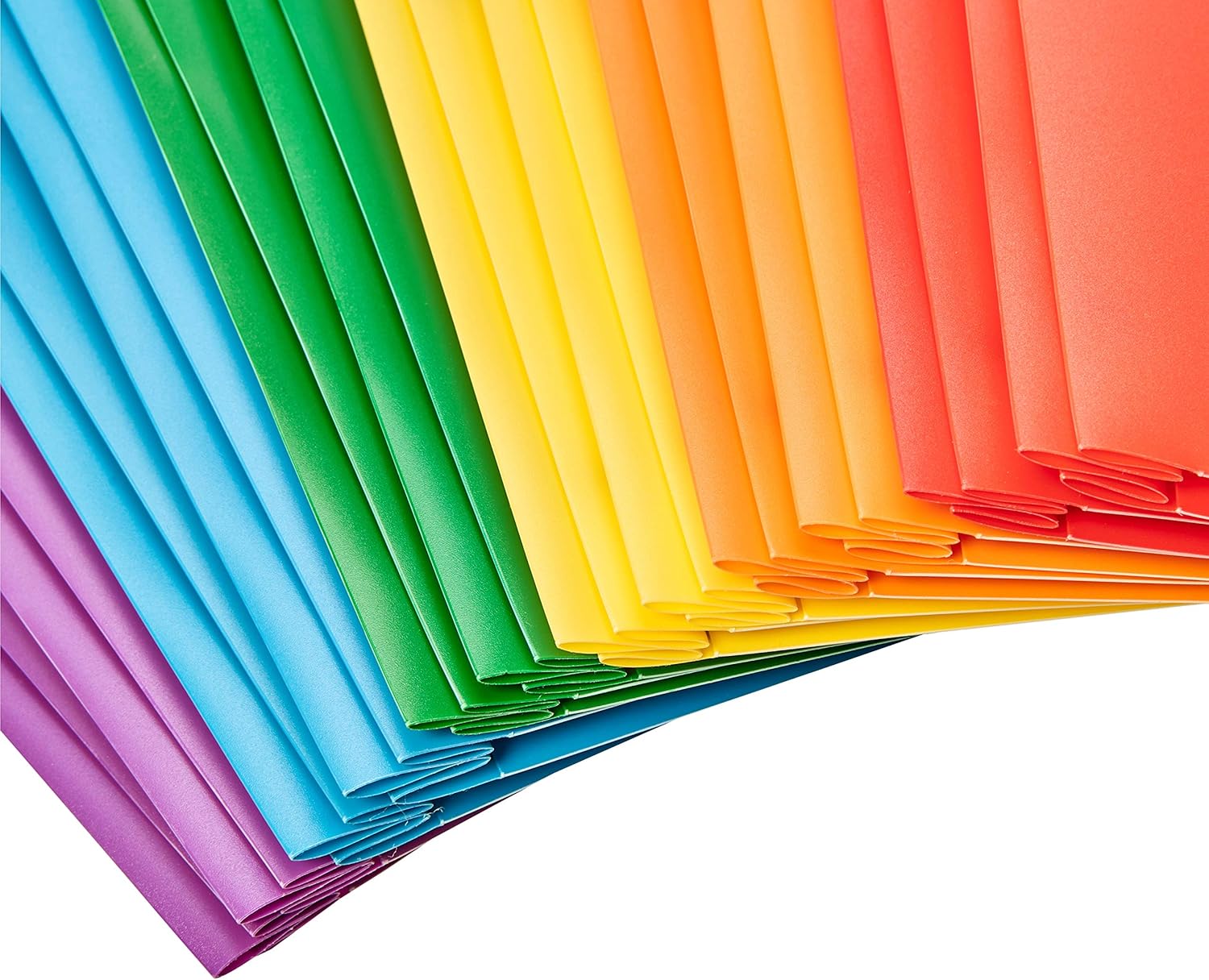 Basics Heavy Duty Plastic Folders with 2 Pockets for Letter Size Paper, Pack of 12 : Office Products