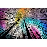 Bgraamiens Puzzle-Forest Under Starry Night-1000 Pieces Gradient Magic Colorful Puzzle for Adult,Hard Challenge Puzzle for Adult