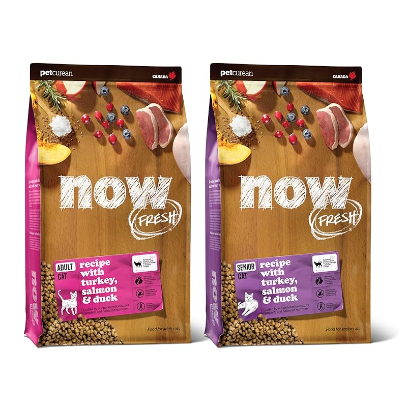 Top 5 Worst Dry Cat Food Companies Cat Nutrition 101 iHomePet