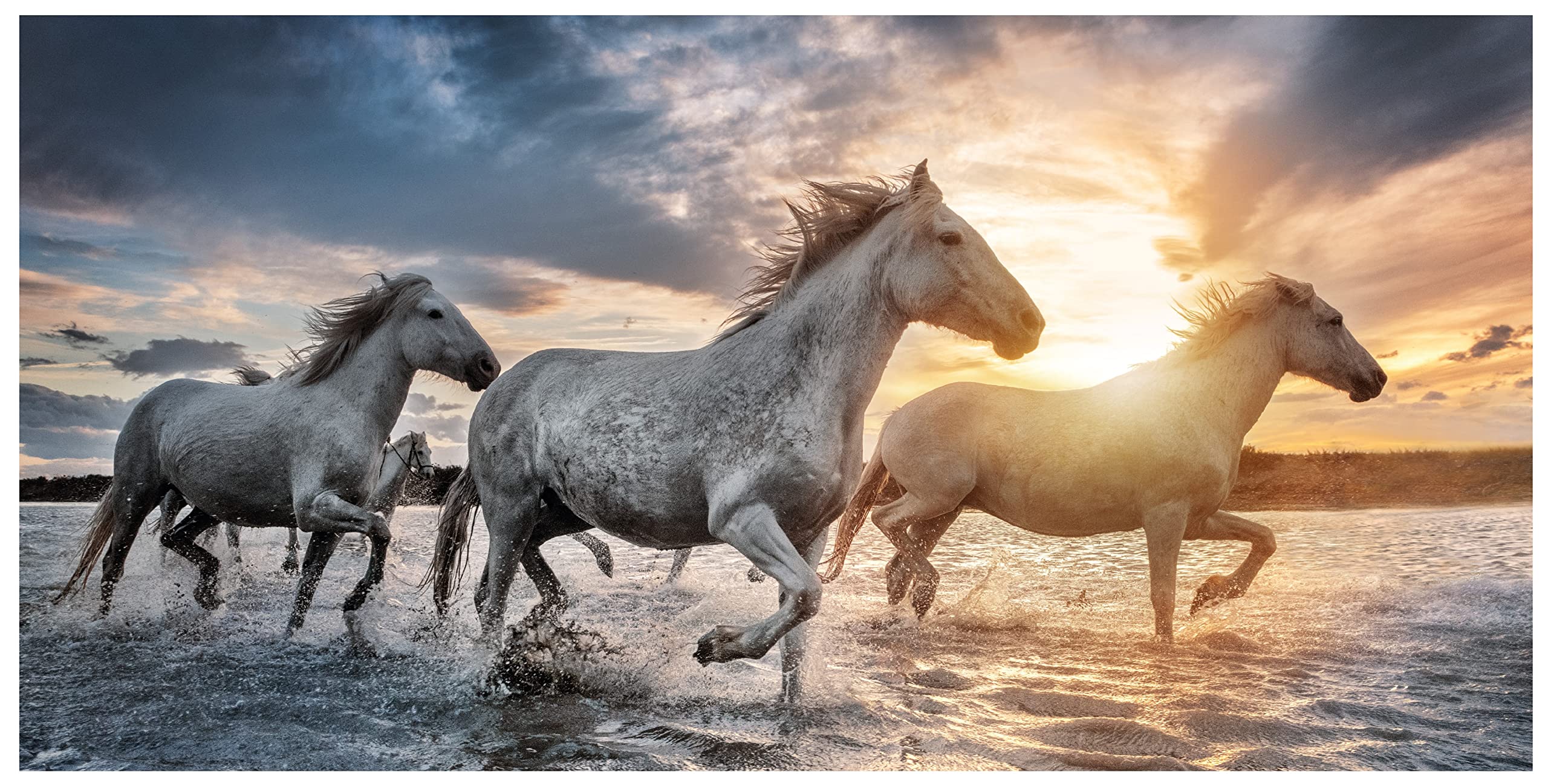 Theonoi Children's Horse Bath Towel, 100% Cotton, 70 x 140 cm