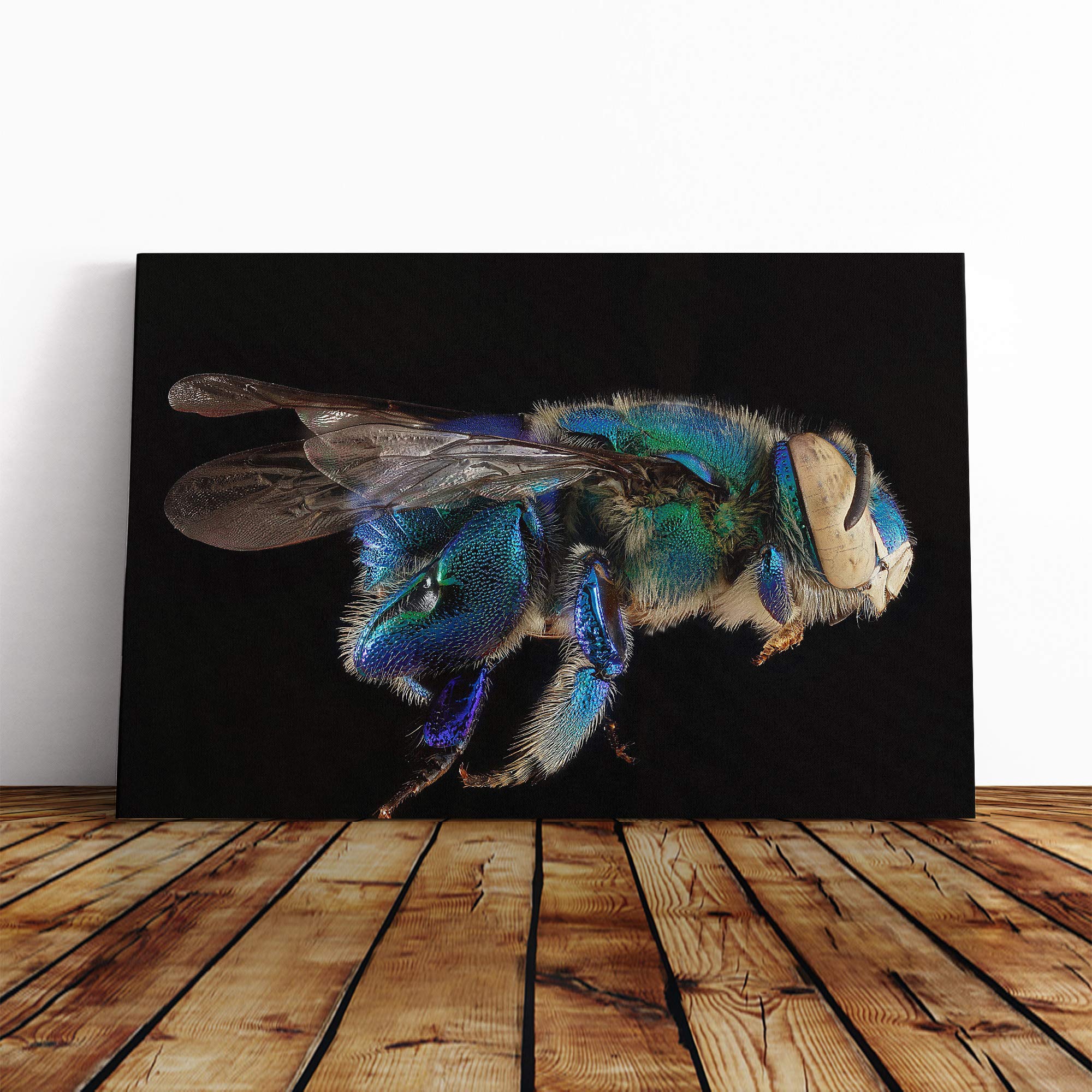 Blue Orchid Bee Macro Canvas Print | Gallery Wrapped 30mm Frame Wall Art | 20x14 inches | Ready to Hang | Modern Animals Picture | Living Room Bedroom Lounge Office