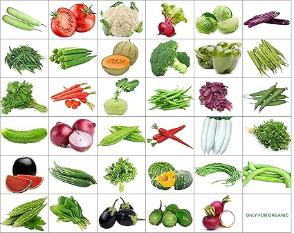 Only For Organic 35 Varieties Of Seeds With Instruction Manual - 1600+ Seeds