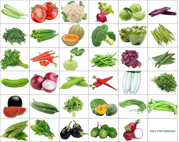 Only For Organic 35 Varieties Of Seeds With Instruction Manual - 1600+ Seeds