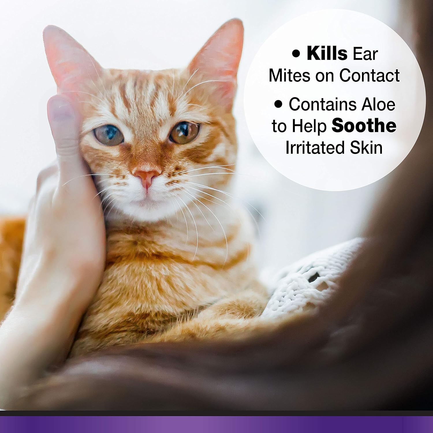 Four Paws Cat Ear Mite Remedy, 0.75oz : Pet Ear Care Supplies : Pet Supplies