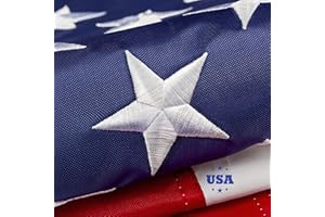 DANF FLAG The Top 3x5 ft American Flag for Outside, Deluxe Made USA Flag, Longest Lasting, Heavy Duty 420D Nylon, Embroidered Stars, Sewn Stripes, Brass Grommets, The Best US Outdoor Flags