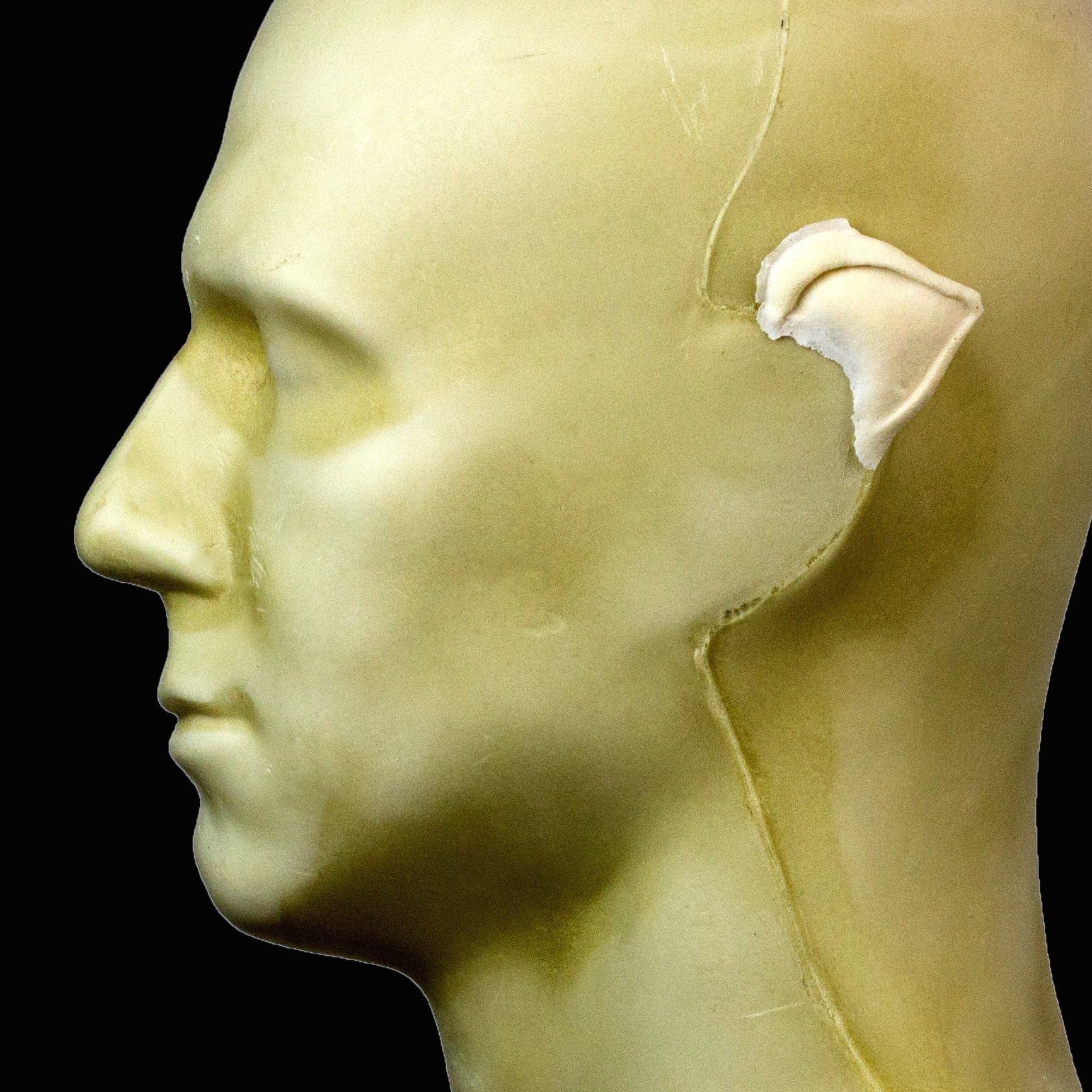 Rubber WearRubber Wear Foam Latex Prosthetic - Small Pointed Ears FRW-032 - Makeup Theater FX