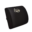 Sheltin Memory Foam Lumbar Support Back Pillow with 3D Breathable Mesh for Ease Lower Back Pain - Office Chair and Car Seat Back Cushion - Black