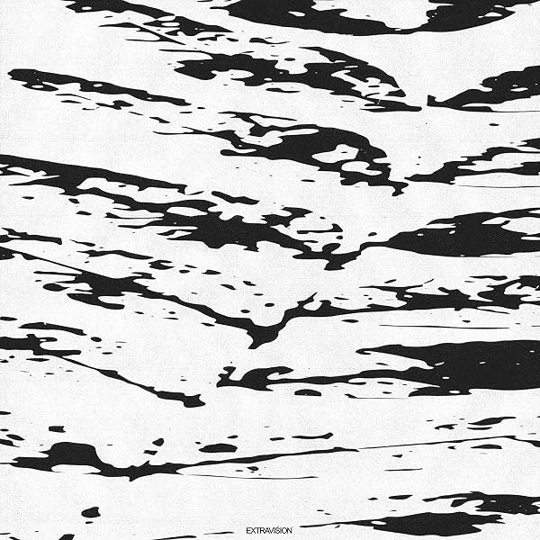 Gastr del Sol - Camoufleur - Amazon.com Music