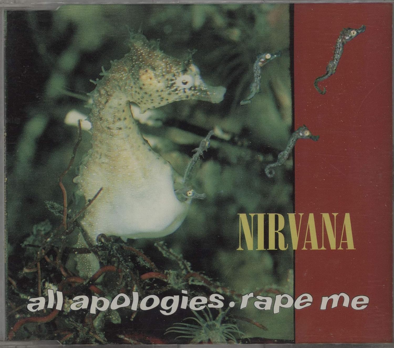 Nirvana all apologies перевод