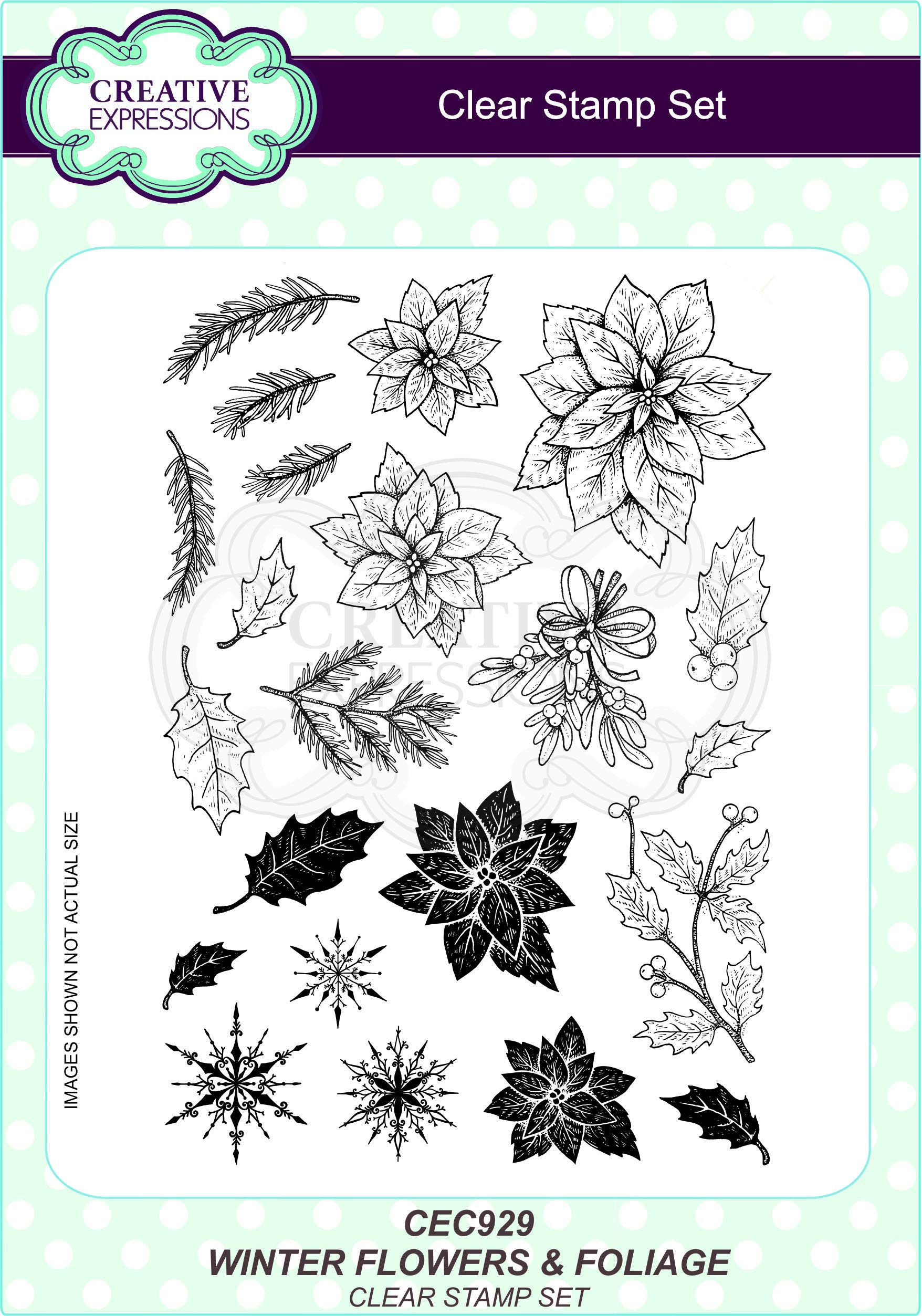 Creative Expressions Wintery Flowers and Foliage A5 Clear Stamp Set