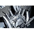 Kuryakyn 5641 Motorcycle Engine Accessory: Tappet Block Accent Cover for 2014-19 Indian Motorcycles, Chrome