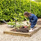 Toyrific Little Roots 4 Piece Long Handle Garden Tool Set for Kids view 2