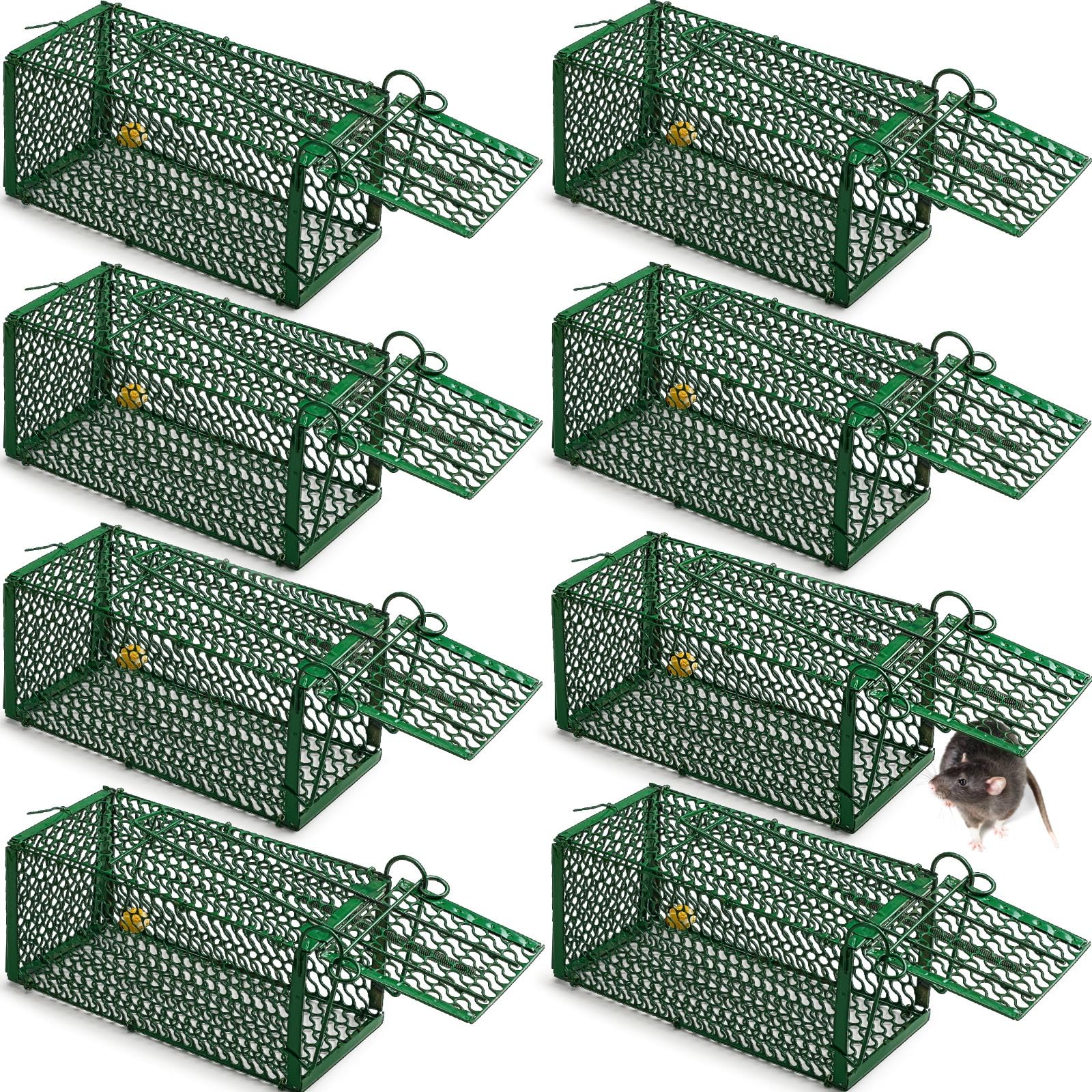 Photo 1 of Qualirey 8 Pcs Humane Rat Trap Chipmunk Squirrel Cage Trap Foldable Rodent for Small Live Animal Voles Hamsters Catch and Release for Kitchen Yard Garage Indoors Outdoors (Green)