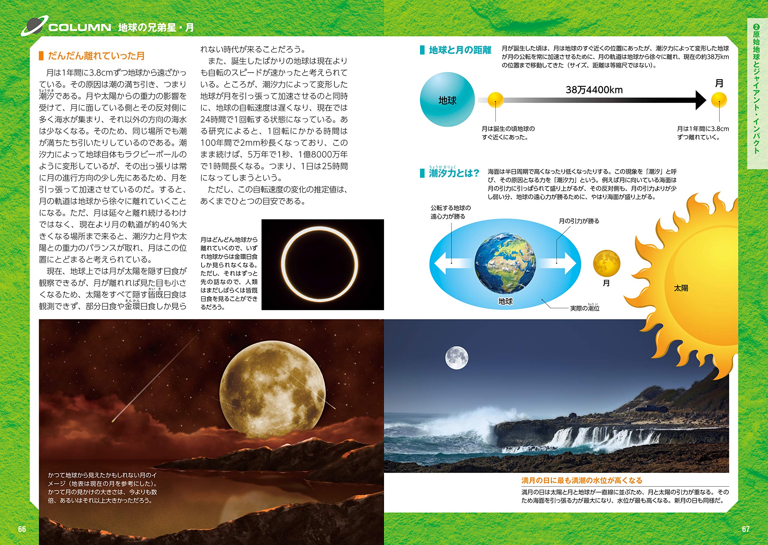 お買得 生命 人類 動物 植物 地球 宇宙 シリーズ 全6巻 そのはじまりと進化のなぞ 絵本 Ucs Gob Ve