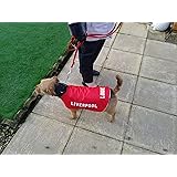 liverpool dog coat small