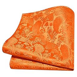 GUSLESON Orange Tie for Men Paisley Wedding Silk