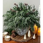 Faux Cedar Stems Artificial Norfolk Pine Branches for Christmas Decor, 12 PCS Fake Pine Stems with 2 PCS Pine Cones Branches Real Touch Realistic Faux Greenery for Vases DIY Garland Xmas Table Indoor