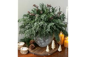 IVYDALE Faux Cedar Stems Artificial Norfolk Pine Branches for Christmas Decor, 12 PCS Fake Pine Stems with 2 PCS Pine Cones Branches Real Touch Realistic Faux Greenery for Vases DIY Garland Xmas Table Indoor