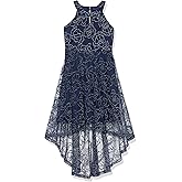 Speechless Girls Sleeveless Embroidered Tulle High Low Party Dress