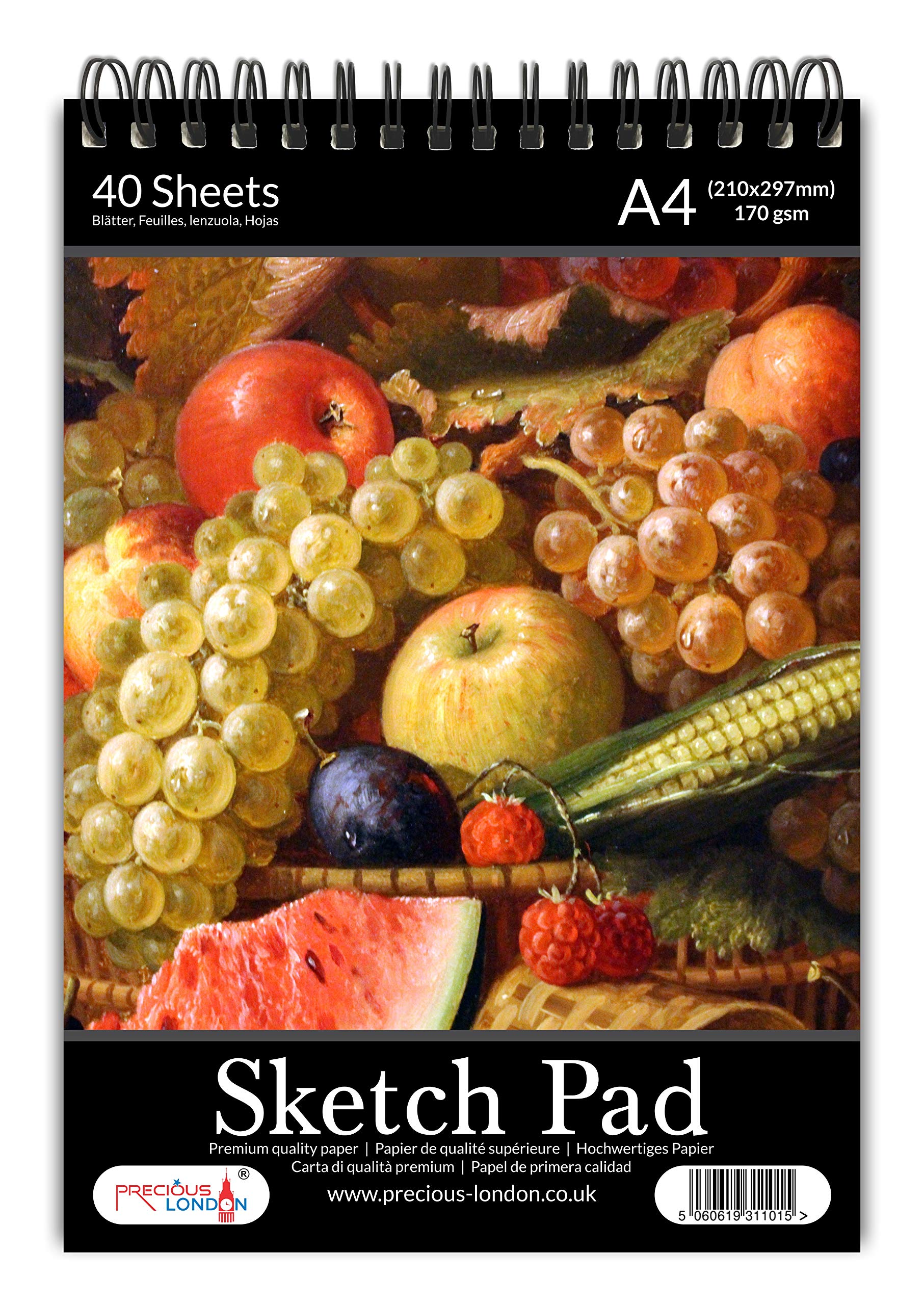 Artists Sketch Pad A4 Size Premium Quality Cartridge Paper Spiral Bound Artist Drawing Books 170gsm Durable Acid Free Sketch Paper (Fruits)
