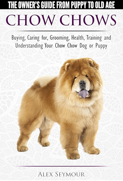 buy chow chow