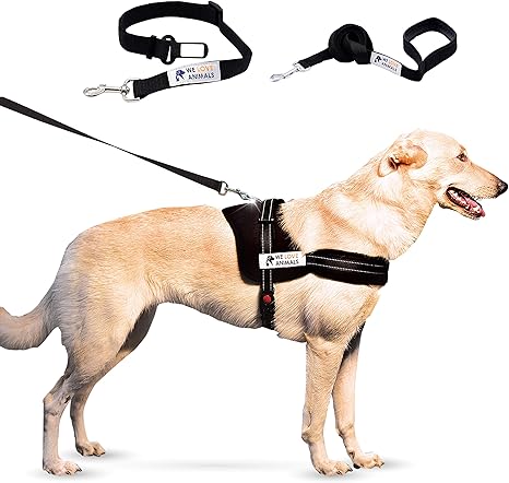 creature comforts dog harness