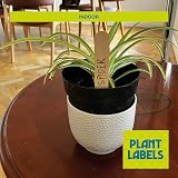 EFA International 50Pcs Plant Labels Biodegradable Birch Wood Markers 15cm view 3
